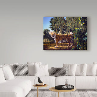 "Hidden Tiger     " by D. Rusty Rust, Canvas Art