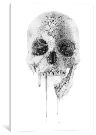 "Crystal Skull" by Alexis Marcou, Canvas Print, 40"x26"
