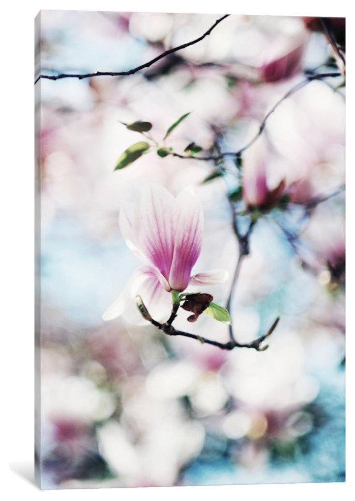"Spring In Bloom" by Chelsea Victoria, 40x26x1.5