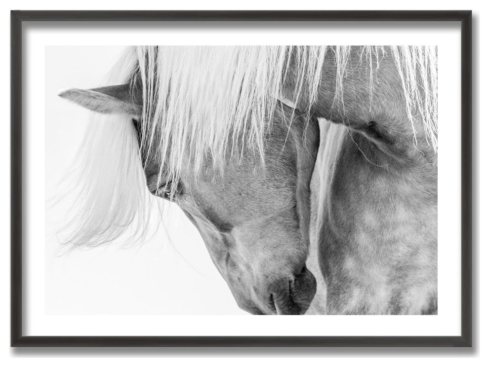 Halflinger Portrait Framed Print Wall Art by Kimberly, 24"x16", Framed