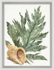 Aquatic Assortment 5, Giclee Reproduction Artwork
