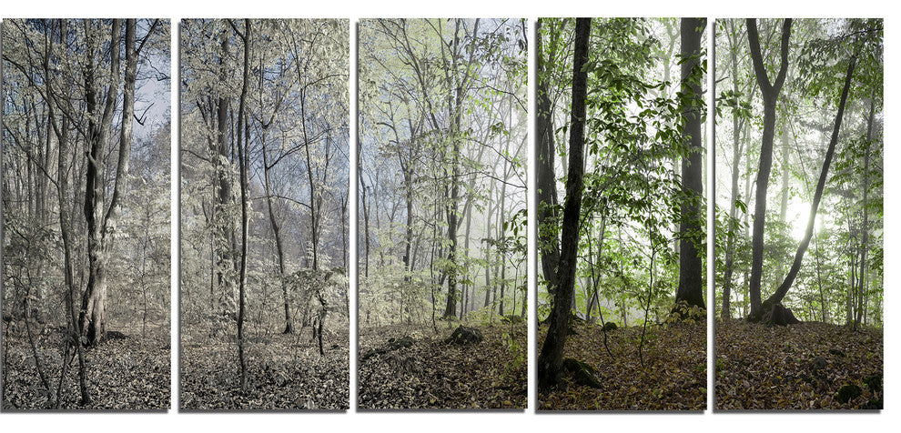 Green Morning in Forest Panorama, Landscape Canvas Art Print, 60"x28", 5 Panels