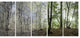 Green Morning in Forest Panorama, Landscape Canvas Art Print, 60"x28", 5 Panels