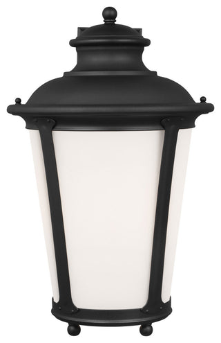 Cape May 1-Light Outdoor Wall Lantern, Black