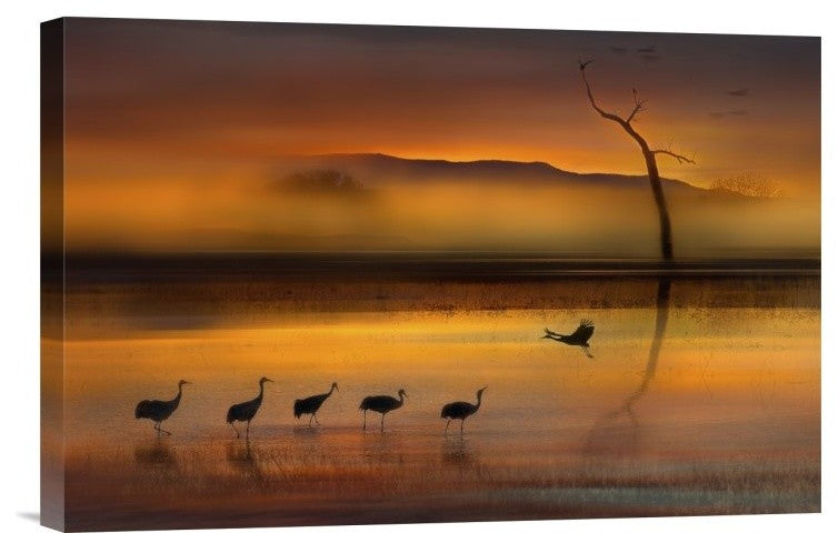 "We Are Here Waiting For You" Stretched Canvas Giclee by Shenshen Dou, 18x12"