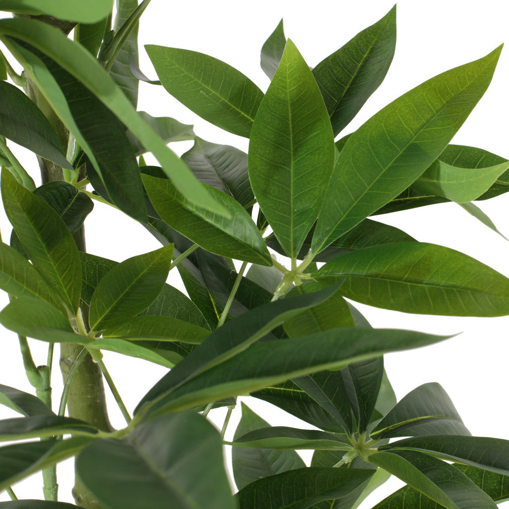 Coles Artificial Money Tree, Green, 31.5wx31.5dx63h