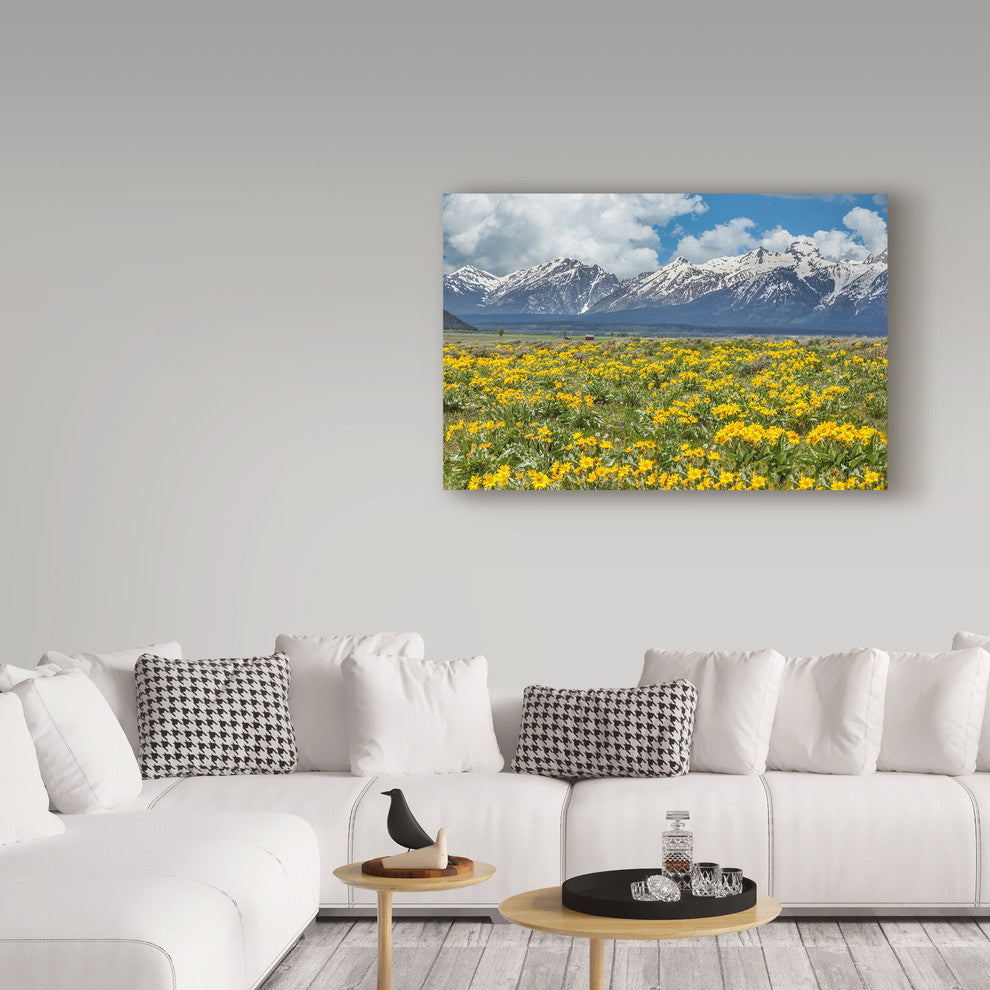 Galloimages Online ''Wild Flowers With Mountains'' Canvas Art, 19"x12"