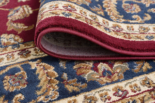 Sariya Transitional Oriental Red Rectangle Area Rug, 8'x10'