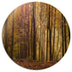 Dense Forest In Rays Of Rising Sun, Forest Disc Metal Wall Art, 11"