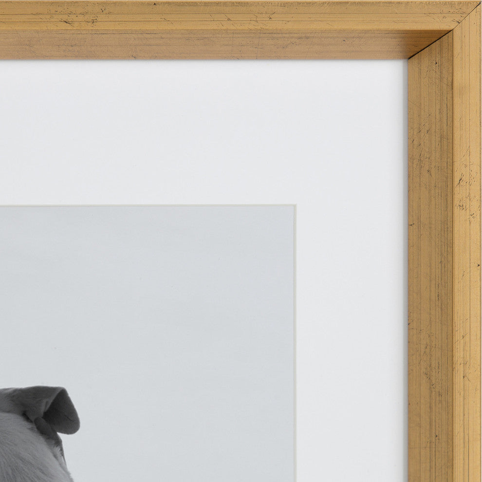 Calter Photo Frame Set, Gold 14x18 matted to 11x14