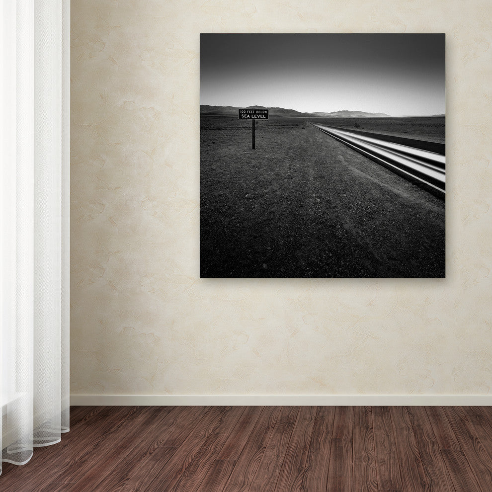 ''Low'' Canvas Art by Dave MacVicar