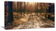 Road in Dark Wooded Forest, Modern Forest Canvas Art, 32"x16"