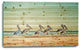 48" Pelican Flock at the Beach Wood Plank Wall Art