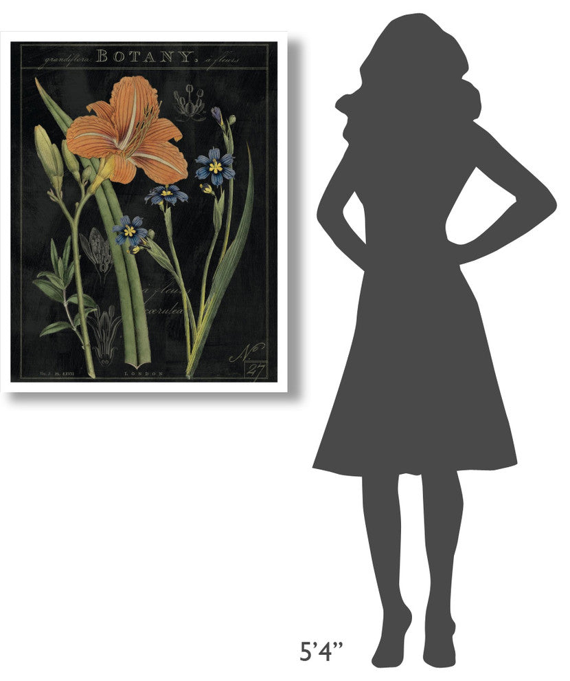 "Vintage Flora II" Digital Paper Print by Sue Schlabach, 30"x37"