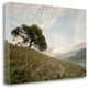 "Oak Tree - 11" By Alan Blaustein, Giclee Print on Gallery Wrap Canvas