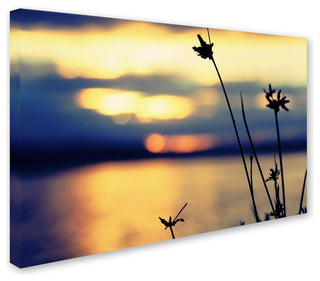 'Sunset Thoughts' Canvas Art by Beata Czyzowska Young