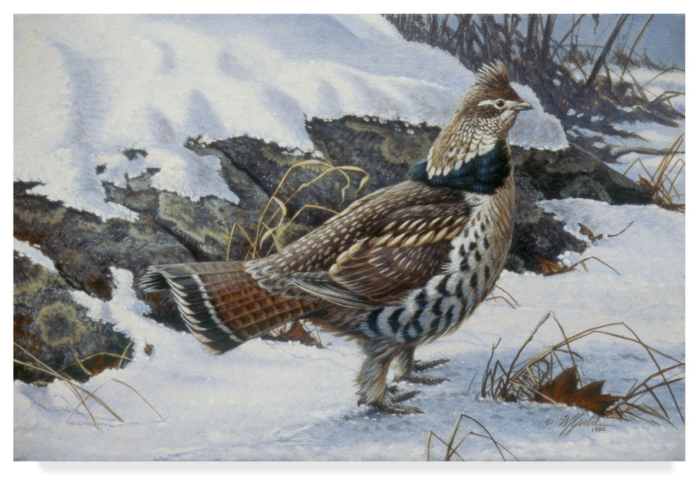 Wilhelm Goebel 'Ruffed Grouse' Canvas Art, 24"x16"