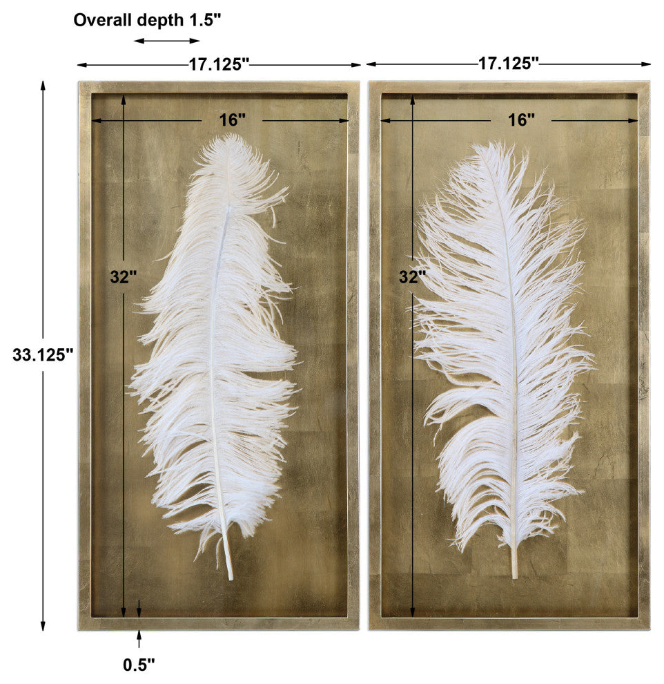Uttermost White Feathers Gold Shadow Box S/2