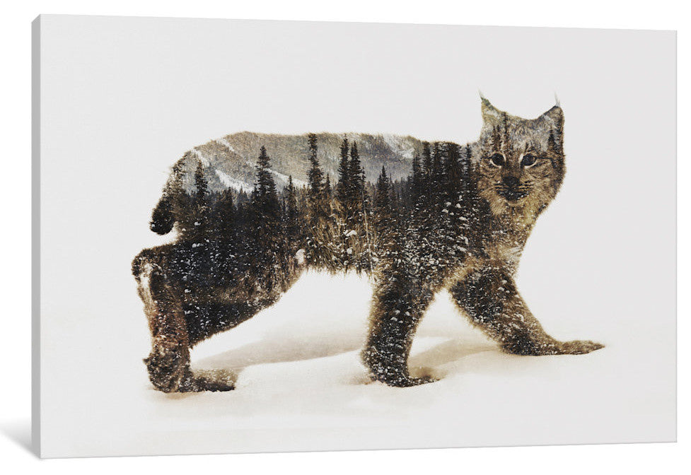 "Lynx II" by Andreas Lie, 18x12x1.5"