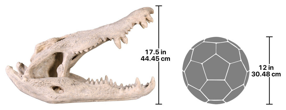Crocodile Skull Sculptural Artifact