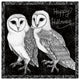 "Arsenic and Old Lace Happy Halloween" Paper Print by Elyse DeNeige, 38"x38"