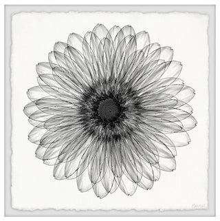 "Elegant Sunflower" Framed Painting Print, 24x24