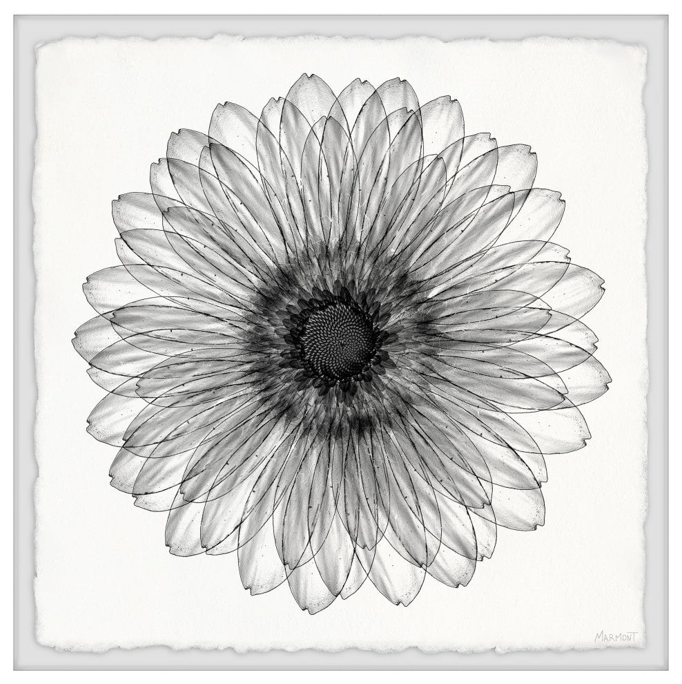 "Elegant Sunflower" Framed Painting Print, 24x24