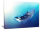 "Killer Whale and Sea" Animal Digital Art Canvas Print, 40"x30"