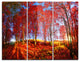 "Red Autumn Forest in Carpathians" Photo Metal Wall Art, 3 Panels, 36"x28"
