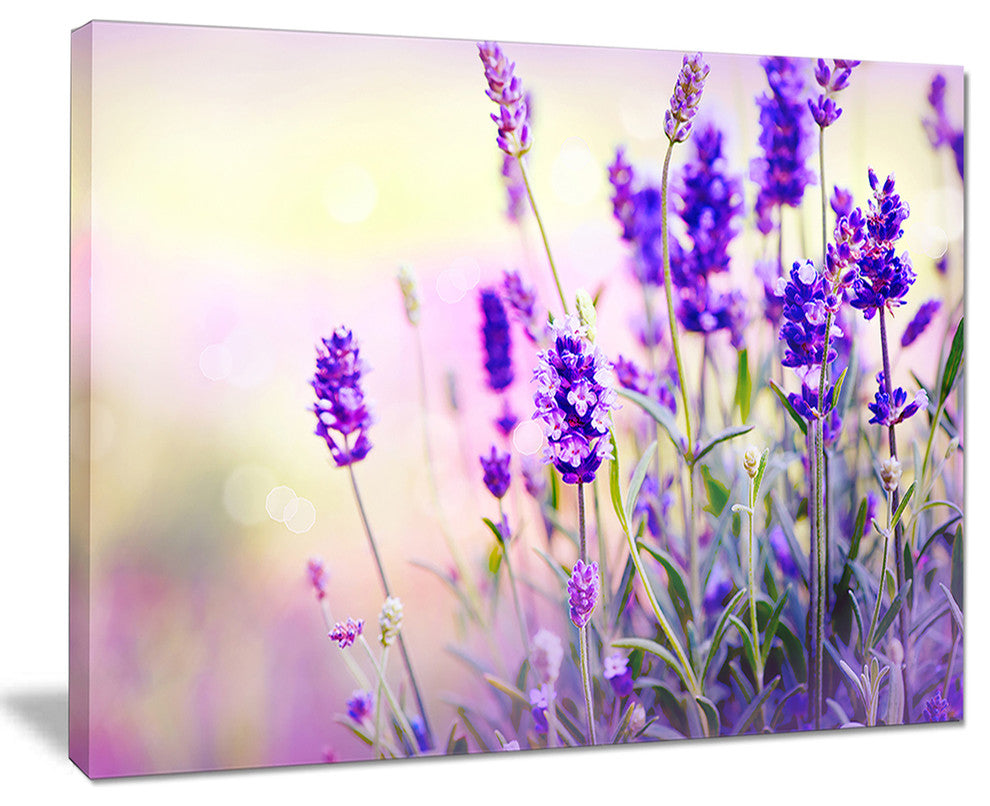 "Purple Lavender Field" Floral Photography Canvas Print, 40"x30"
