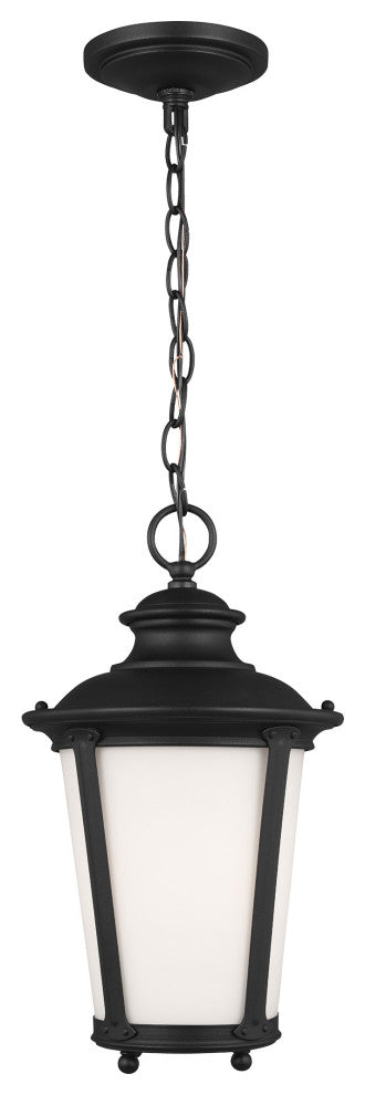 Cape May 1-Light Outdoor Pendant, Black