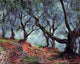 Claude Oscar Monet A Grove of Olive Trees in Bordighera Gallery Wrapped Canvas