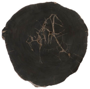 Cast Petrified Wood Wall Tile, Resin