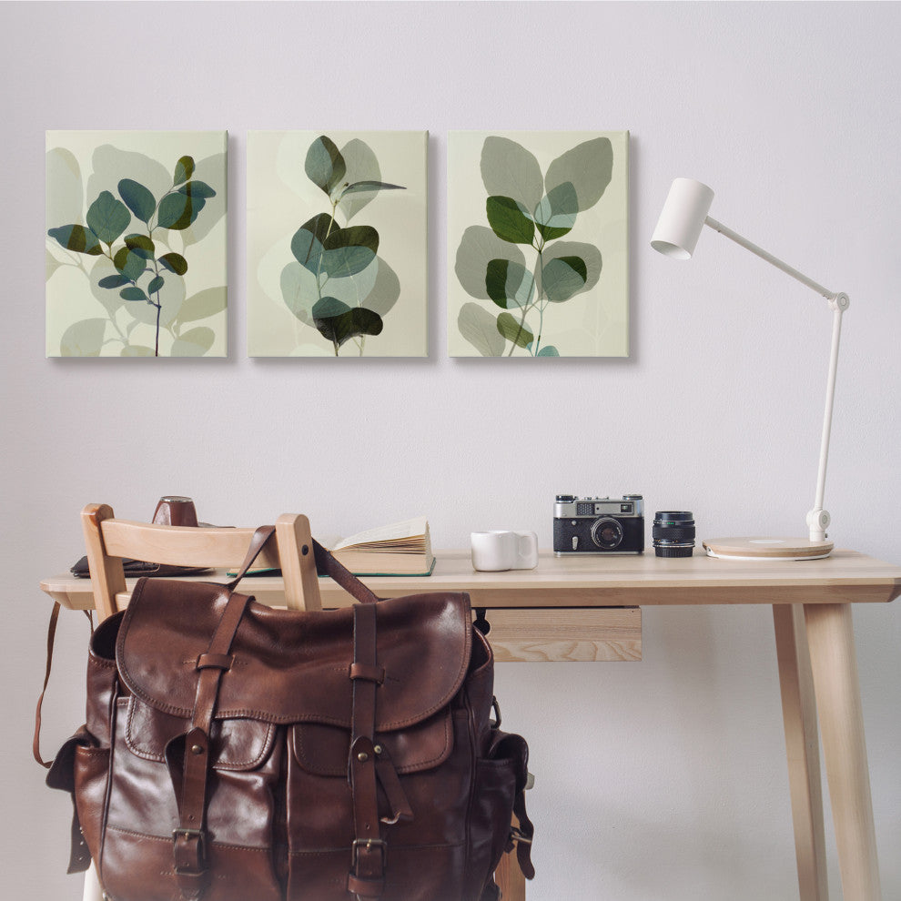 Modern Forest Plant Photography Overlapping Foliage Shadows,16 x 20