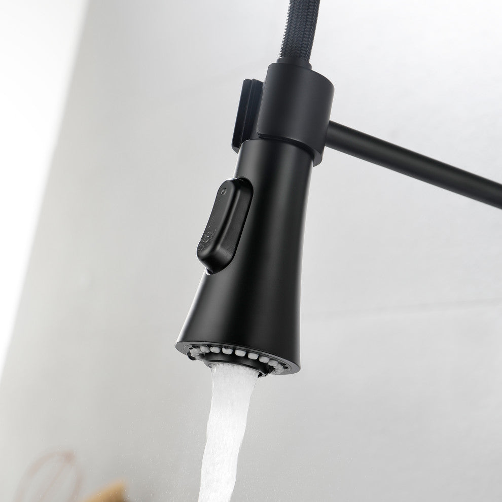Wellfor Stainless Steel Pull Down Kitchen Faucet With Deck Plate, Matte Black