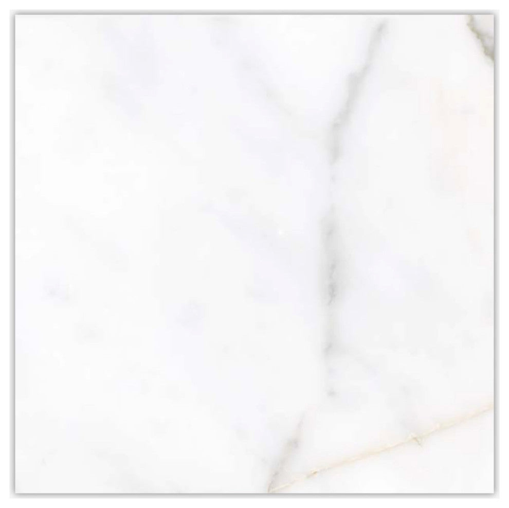 Calacatta Italia Polished 24x24 Porcelain Tile
