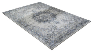 Traditional Accent Rug, Glacier, 7'0"x4'11"