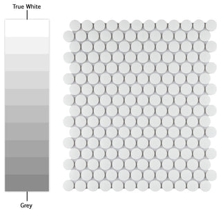 Gotham Penny Round White Porcelain Floor and Wall Tile
