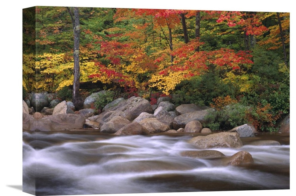 " Along Swift River, White Mountains National Forest, New Hampshire" Artwork