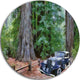 Vintage Car In Forest, Landscape Painting Round Wall Art, 11"