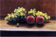 George Henry Hall Peaches and Grapes on a Tabletop Wall Decal