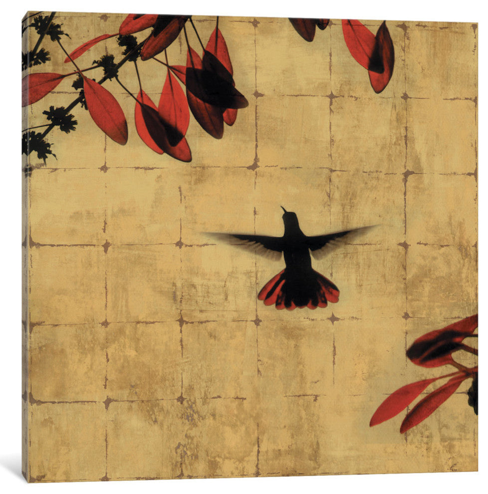 "Colibri II" by Chris Donovan, Canvas Print, 18"x18"