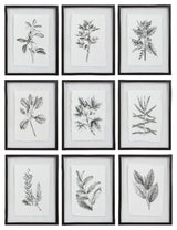 Uttermost Farmhouse Florals Iron Glass Cotton Prints in Black/White (Set of 9)