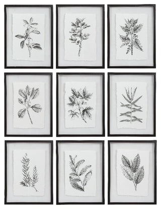 Uttermost Farmhouse Florals Iron Glass Cotton Prints in Black/White (Set of 9)