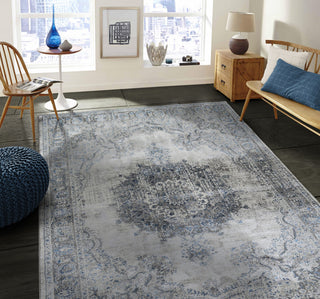 Traditional Accent Rug, Glacier, 7'0"x4'11"