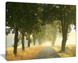 "Rural Road Under Big Green Trees" Canvas Print