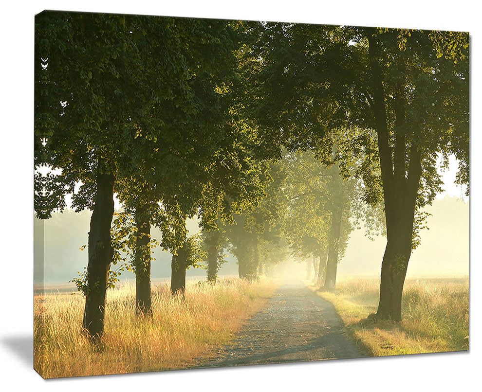 "Rural Road Under Big Green Trees" Canvas Print