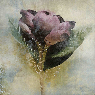 "Feelings" Print on Canvas by Irena Orlov