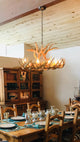 Whitetail Deer Oblong Antler Chandelier Light, Large, Parchment Shades