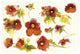 "Independent Blooms Element VI" Digital Paper Print by Shirley Novak, 26"x18"